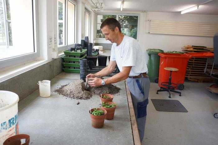 At the Botanic Garden of teh University of Fribourg