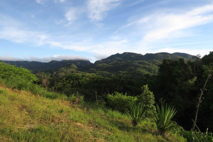 Topes de Collantes Nature Reserve Park. Sancti Spíritus, Cuba. 