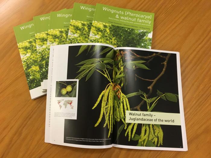 New book of the Pterocarya network